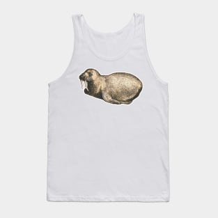 Baby walrus Tank Top